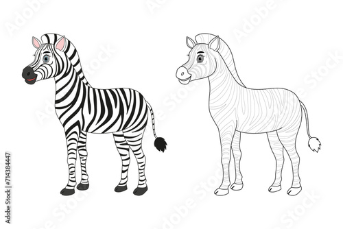 Zebra line and color illustration. Cartoon vector illustration for coloring book.
