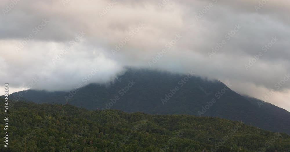 Dense forest in fog and clouds, mountains of Bali near Munduk, Indonesia Dense forest in fog and clouds, mountains of Bali near Munduk, Indonesia
