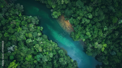  an aerial view of a river in the middle of a forest with a blue river running through the middle of the forest  surrounded by lush green trees and blue water.