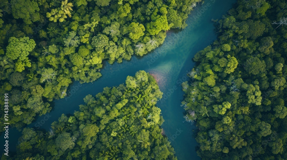  an aerial view of a river in the middle of a forest with lots of trees on either side of the river and a small boat in the middle of the water.