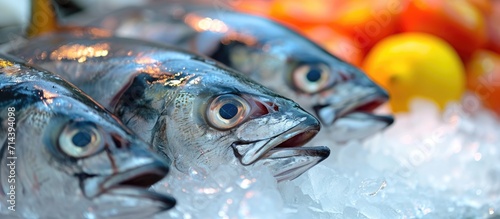 Raw bonito fish photo in market.