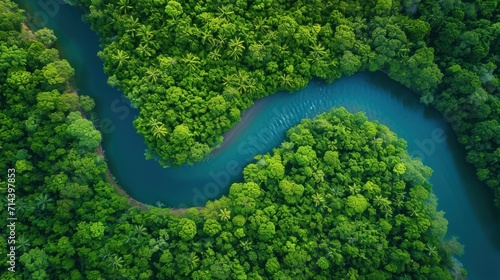  an aerial view of a river in the middle of a green forest with a blue river running through the middle of the forest, surrounded by lush green trees and blue water.