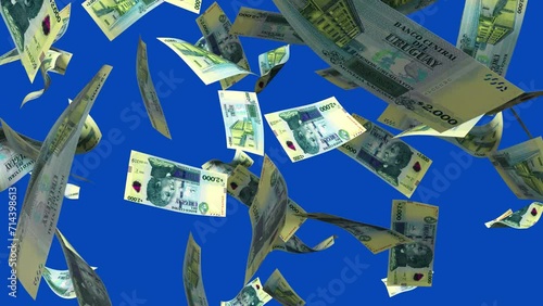 3D animation of Peso Uruguayo notes Falling On blue screen. You can remove the background by keying or subtracting with the black and white matte to replace with a custom one
 photo