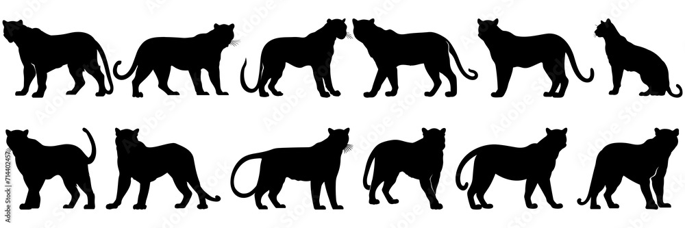 Panther silhouettes set, large pack of vector silhouette design, isolated white background - obrazy, fototapety, plakaty 