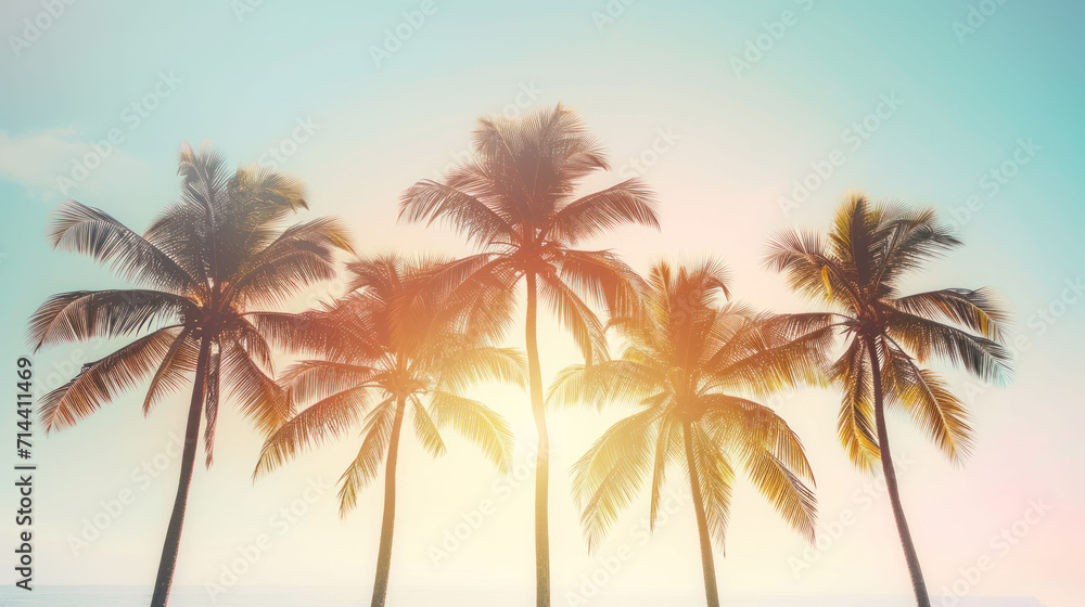  a group of palm trees on a beach with the sun peeking through the palm trees in the foreground and the ocean in the background with a blue sky in the foreground.