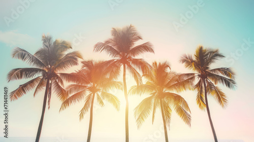  a group of palm trees on a beach with the sun peeking through the palm trees in the foreground and the ocean in the background with a blue sky in the foreground.