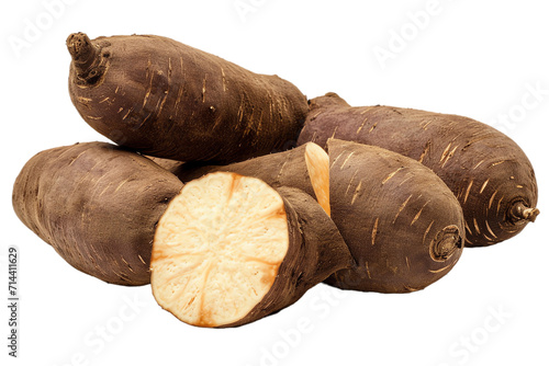 cassava isolated on white background photo