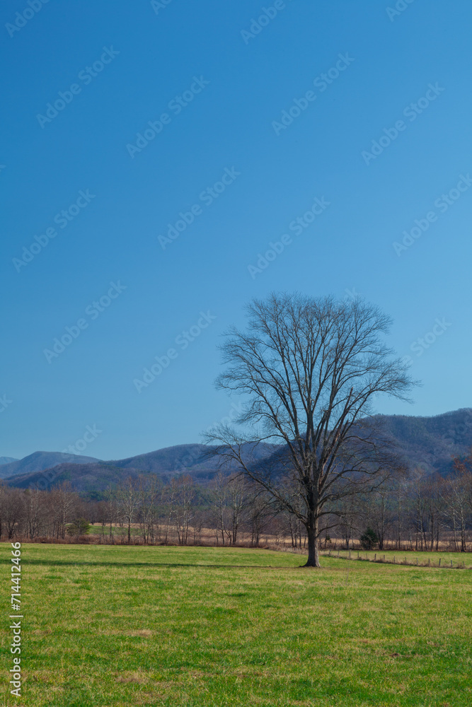 Cades Cove, Great Smoky Mountains National Park
