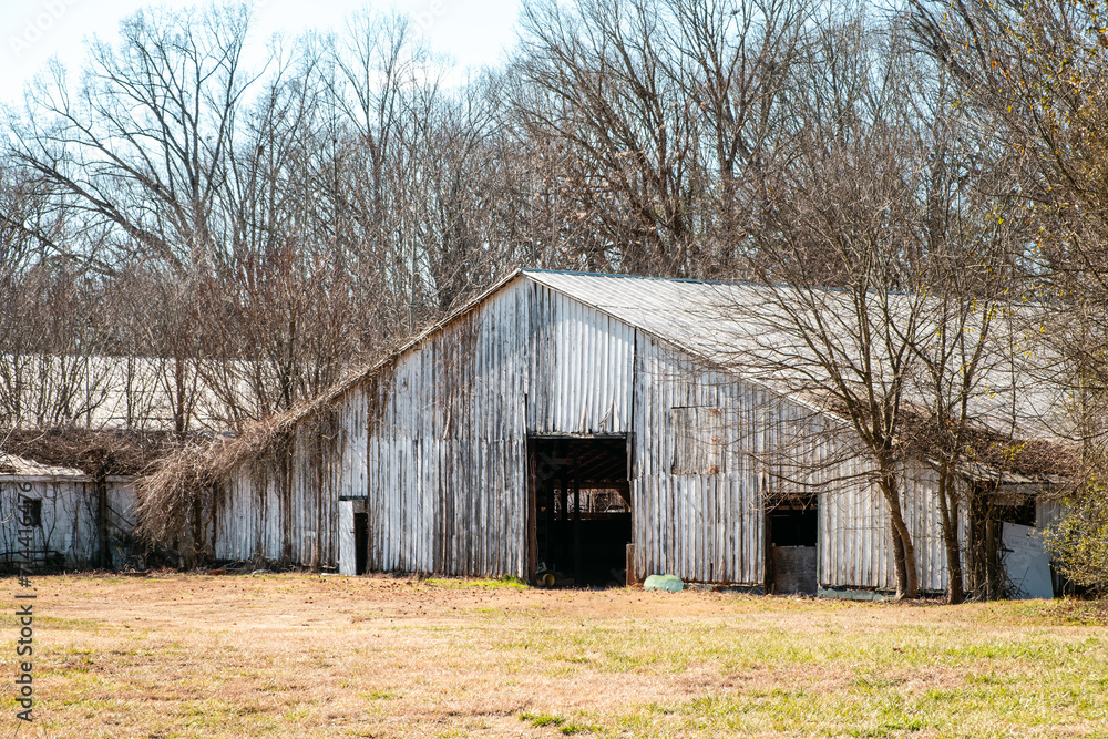 An abandoned farm surrounded by trees being taken over by nature. An abandoned farm surrounded by trees being taken over by nature.
