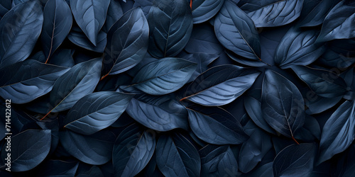 Textures of abstract black leaves for tropical leaf background. Flat lay  dark nature concept  tropical leaf  Generative Ai