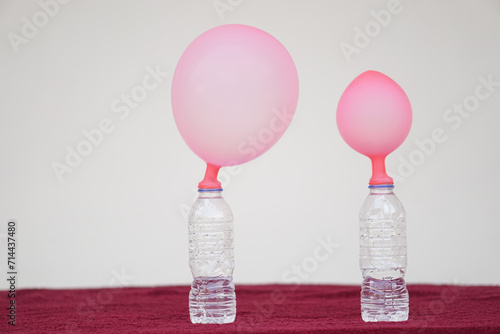 Two pink balloons on top of bottles. Concept, science experiment about reaction of chemical substance, vinegar and baking soda that cause balloon inflat. Last step of experiment