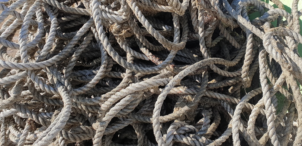 이 '밧줄 더미'는 불법적으로 버려져 오랫동안 방치되었다.
This 'rope pile' was abandoned illegally and left unattended for a long time.