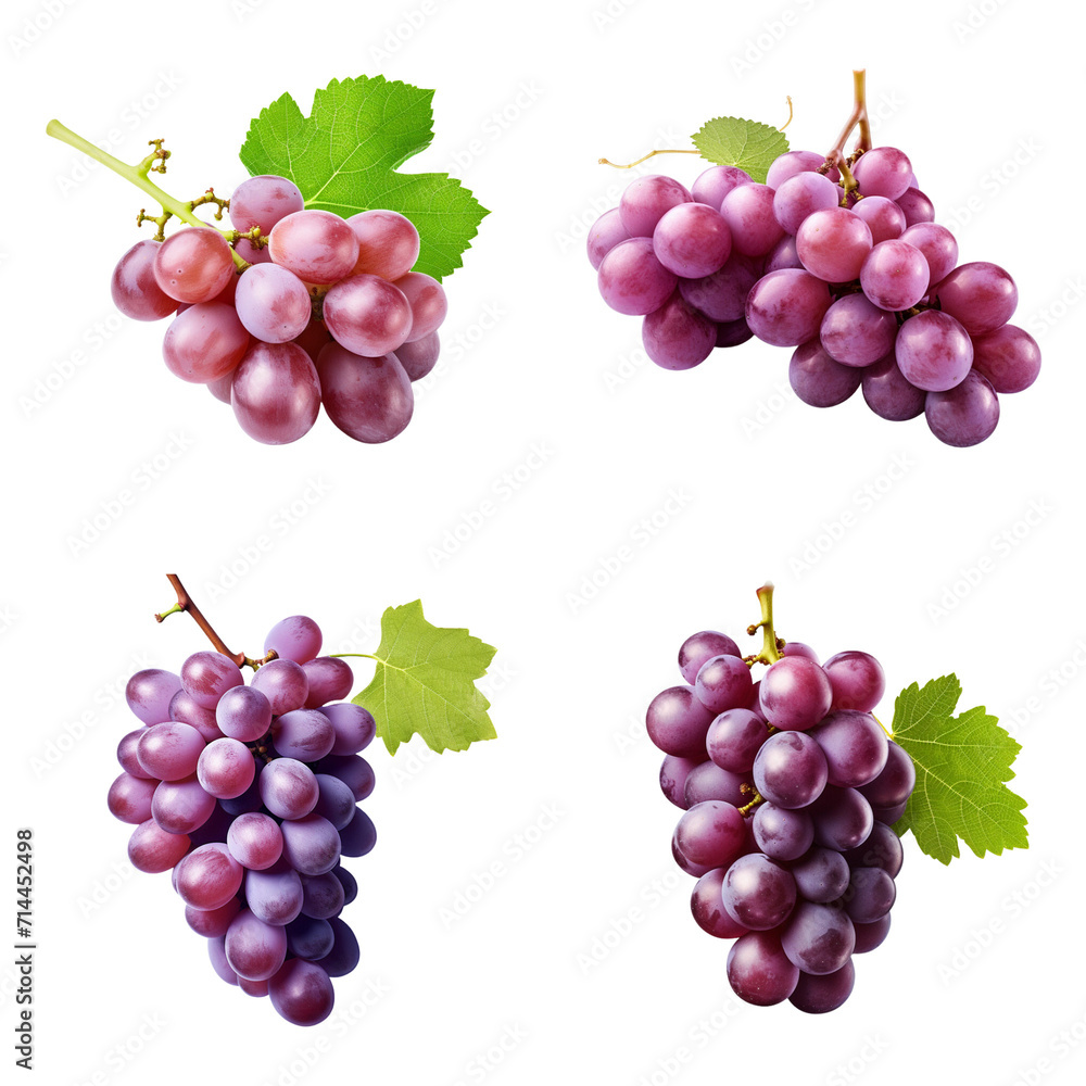 Obraz premium set collection grapes Artificial Intelligence Generative