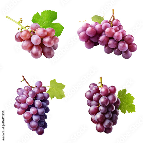 set collection grapes Artificial Intelligence Generative