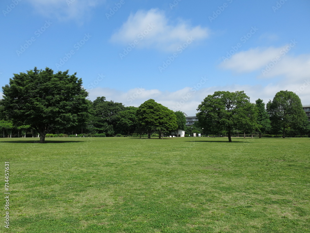 都立武蔵国分寺公園の円形広場