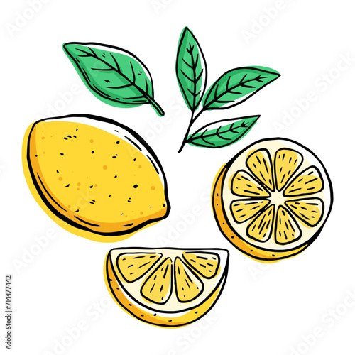doodle lemon fruit on white background
