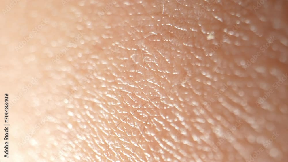 Mesmerizing Macro: Explore the arm's surface in intricate detail. Witness the complex textures and tiny pores up close. 4K.
Mesmerizing Macro: Explore the arm's surface in intricate detail. Witness the complex textures and tiny pores up close. 4K.