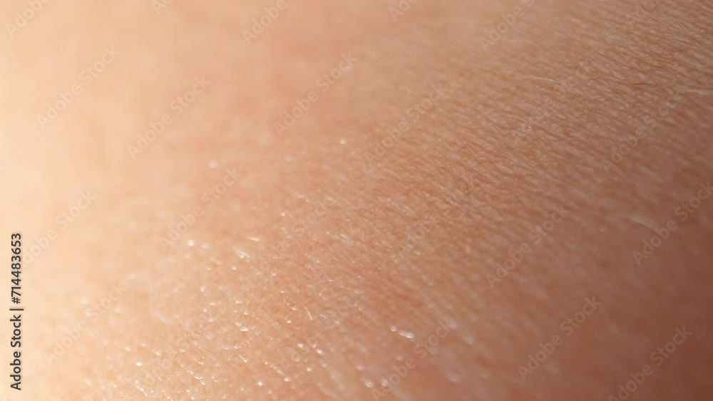 The arm's surface skin, seen in macro video, showcases a complex network of epidermal cells, hair follicles, and sweat glands, functioning as a vital barrier, maintaining homeostasis. 4K.
The arm's surface skin, seen in macro video, showcases a complex network of epidermal cells, hair follicles, and sweat glands, functioning as a vital barrier, maintaining homeostasis. 4K.