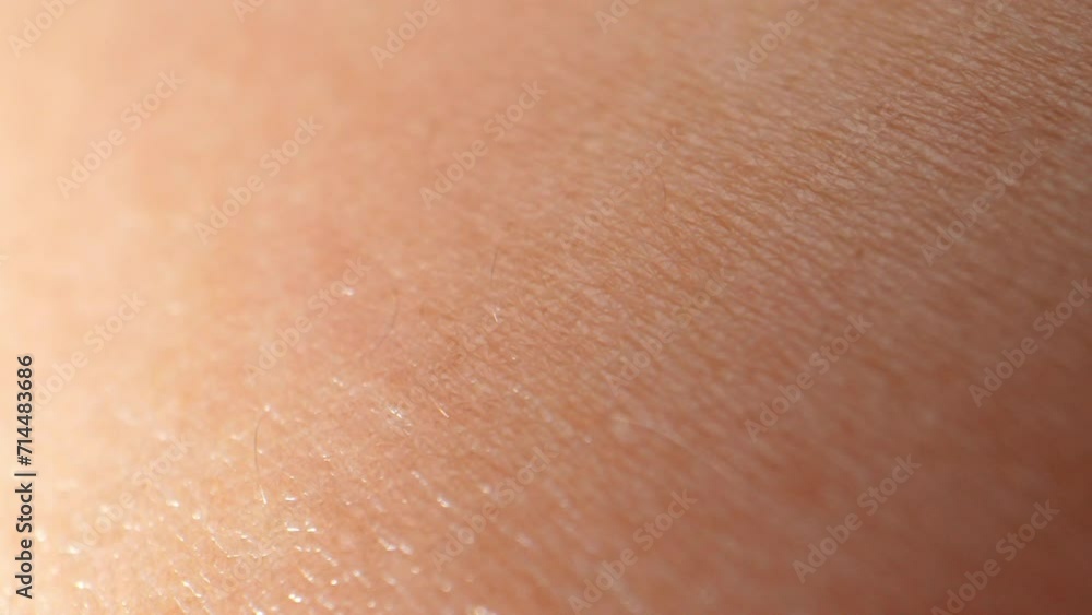Zooming in, the arm's skin becomes a captivating tapestry, highlighting every crevice, wrinkle, and blemish, offering a glimpse into the complexity of our body's largest organ. 4K.
Zooming in, the arm's skin becomes a captivating tapestry, highlighting every crevice, wrinkle, and blemish, offering a glimpse into the complexity of our body's largest organ. 4K.