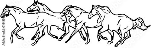 sketch of horse