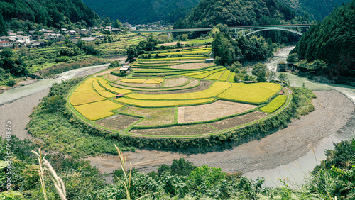あらぎ島　棚田