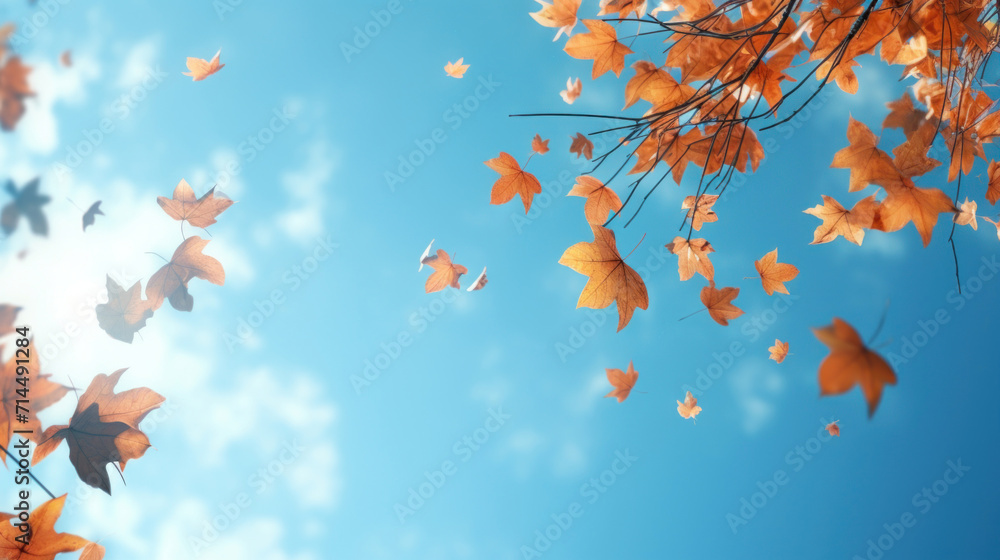 Orange and yellow autumn leaves falling gracefully from a tree, with a clear blue sky in the background.