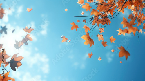 Orange and yellow autumn leaves falling gracefully from a tree, with a clear blue sky in the background.