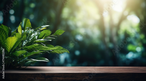 Lush tropical green leaves frame a serene wooden deck  inviting a peaceful and natural atmosphere for relaxation or product staging.