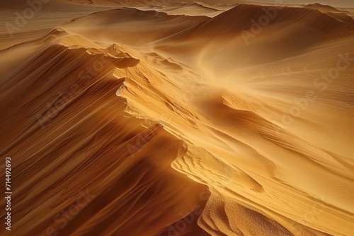 Desert landscape with sand being shaped into sharp dunes by the wind.
