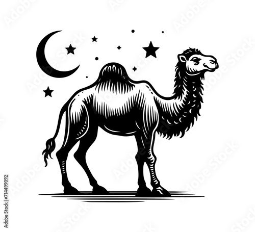 Camel hand drawn illustration vector graphic asset
