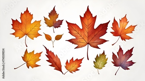 Set of autumn leaves (maple, wild grapes, elm, linden, oak, chestnut tree, rowan, pear) isolated on white