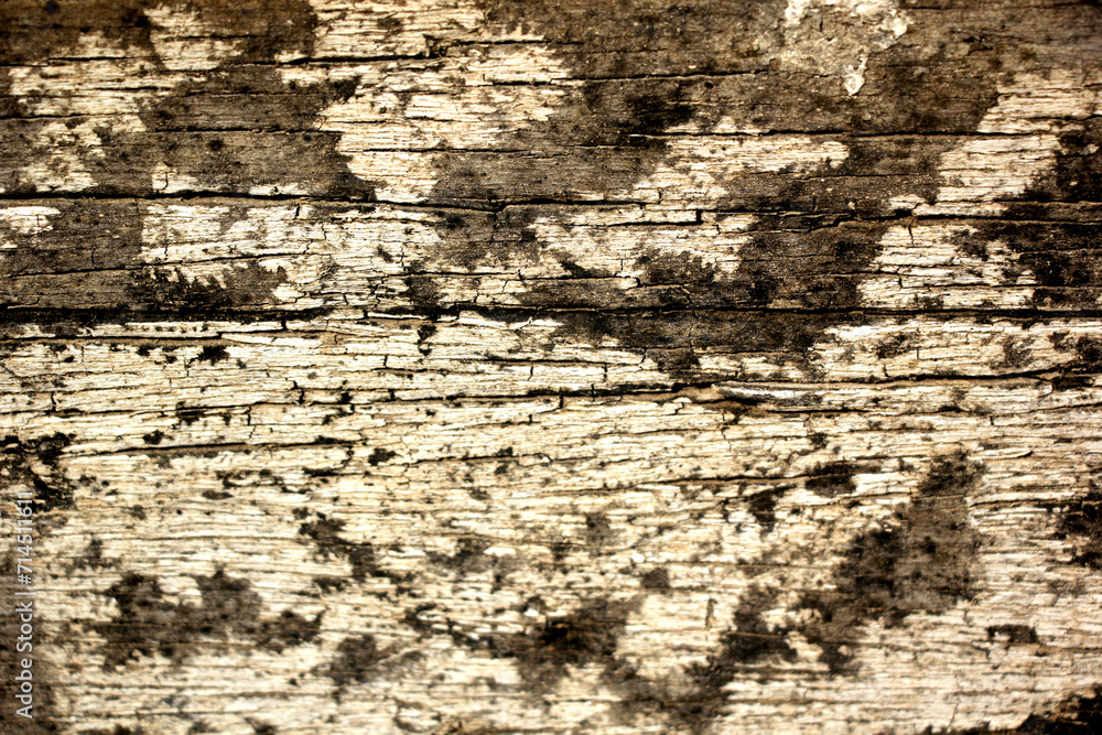 Obraz premium Photo of a backdrop of used wood panels. It is naturally beautiful. and has been decorated with differences along with the uniqueness of nature that is unique