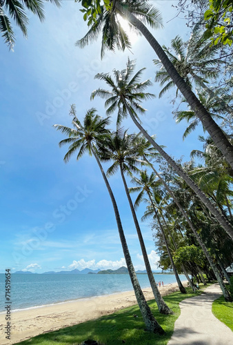 cairns palm cove