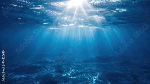 The sun's rays illuminate the bottom of the sea