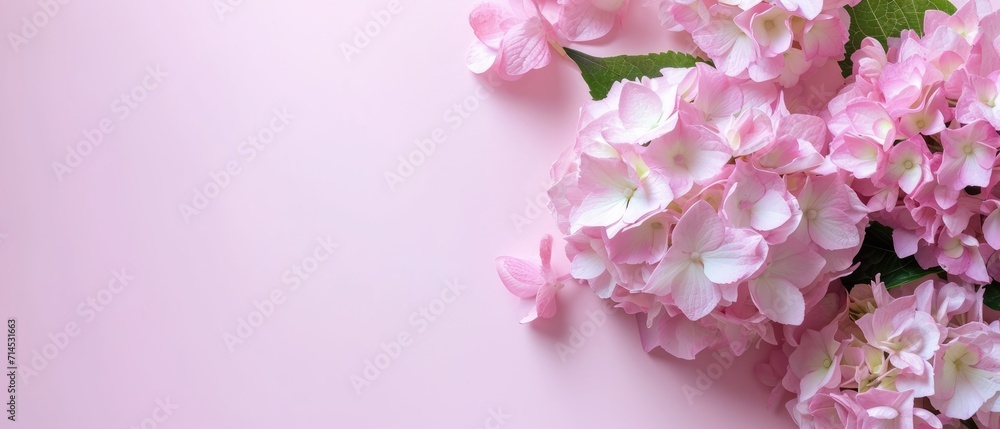 Celebratory banner showcasing hydrangea flowers on a soft pastel backdrop. Ideal for Mother's Day, complete with space for text, Ai Generated.