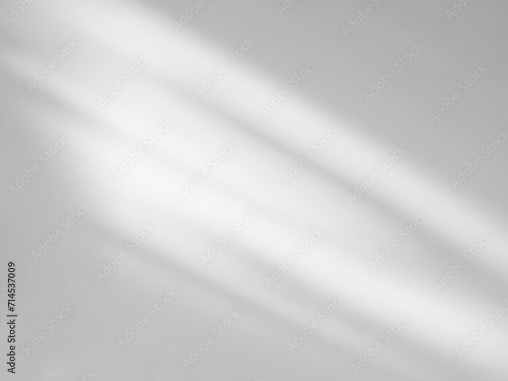 Obraz premium Shadow Background wall Light white Abstract Backdrop Sunlight Sun Mockup Overlay Minimal Summer Gray Photography Black Modern Art Architecture Surface Bright Shape Leaves Branch Nature Smoot Desight.