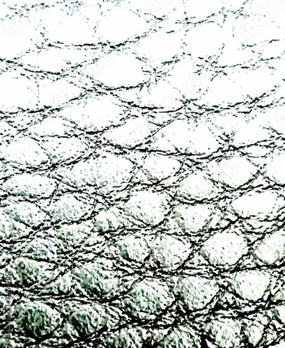 barbed pattern