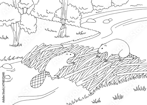 Beaver building a dam graphic black white sketch landscape illustration vector