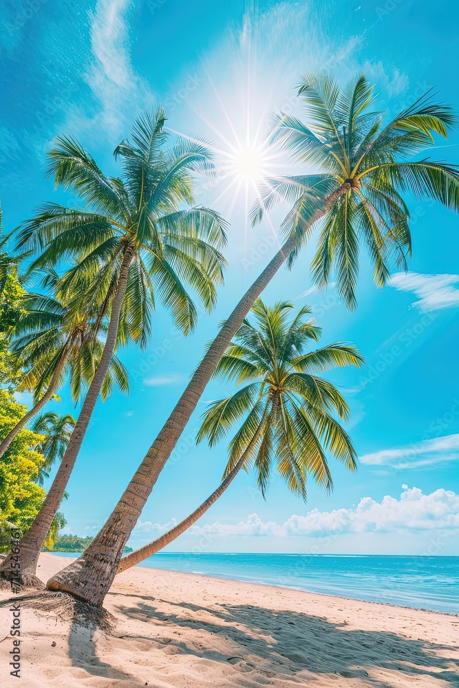 Obraz premium Coconut palm trees on the beach. Sunny summer day with blue sky and clouds on background. Vacation in a tropical paradise. Space for text.