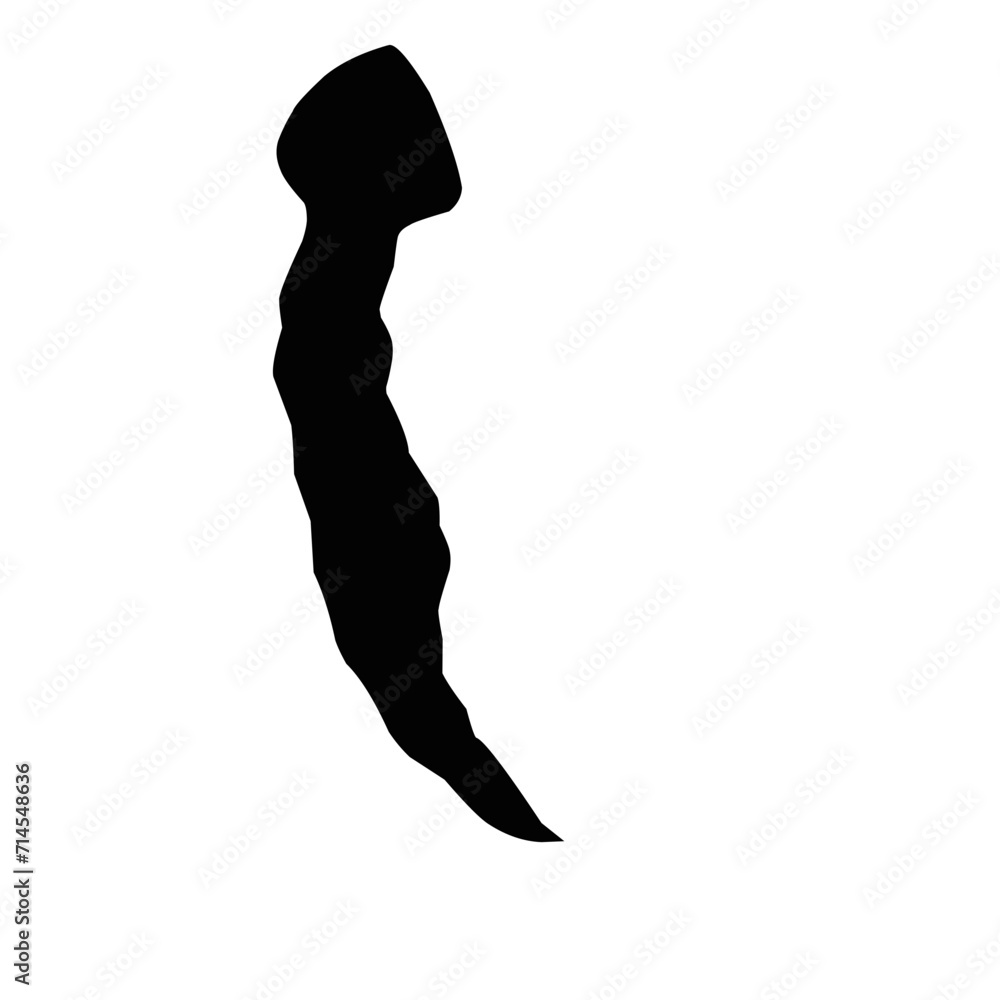 Planaria Flatworm Silhouette Planaria Flatworm Silhouette