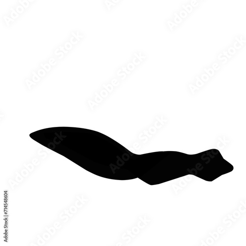 Planaria Flatworm Silhouette 