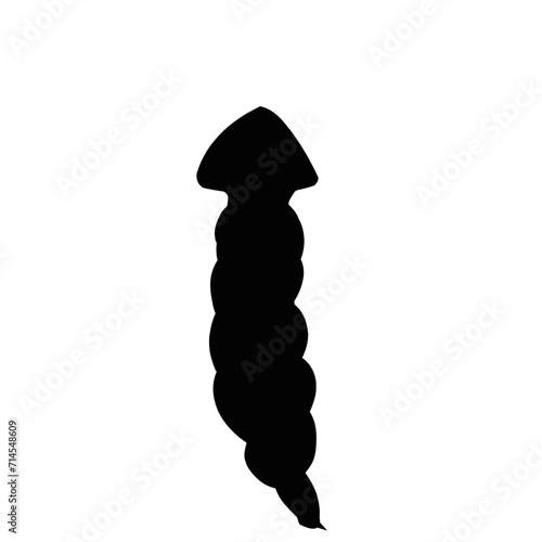 Planaria Flatworm Silhouette 