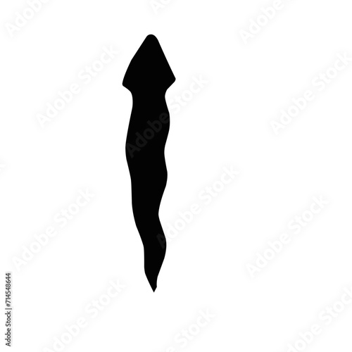 Planaria Flatworm Silhouette 