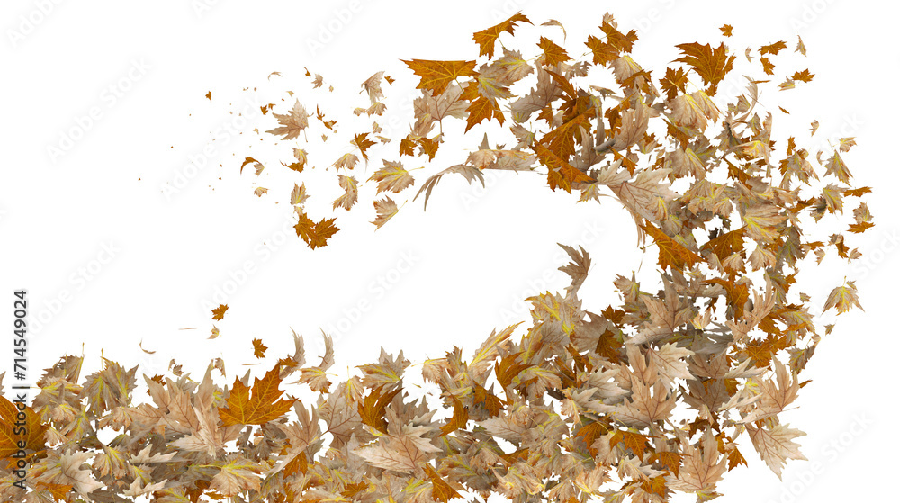 wind leaves leaf autumn moving travelling flow isolated background 3d rendering wind leaves leaf autumn moving travelling flow isolated background 3d rendering