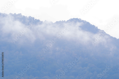 Cloudy And Misty Atmosphere Covering The Forested Mountaintop In The Evening, Wanagiri, Buleleng, Bali