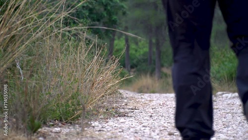 Wallpaper Mural  Slow motion, unrecognizable hiker man walking on the path in the forest. Torontodigital.ca