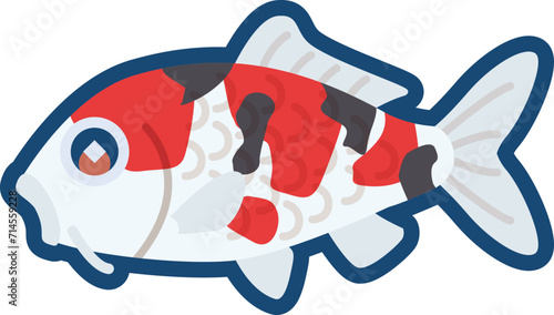 かわいいニシキゴイ（大正三色）のイラスト