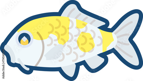 かわいいニシキゴイ（黄白）のイラスト