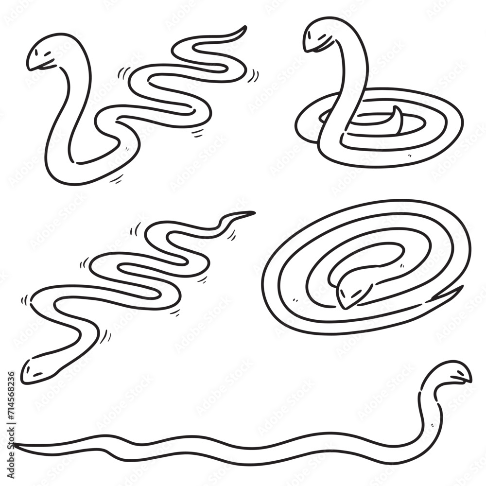 Fototapeta premium vector set of snakes
