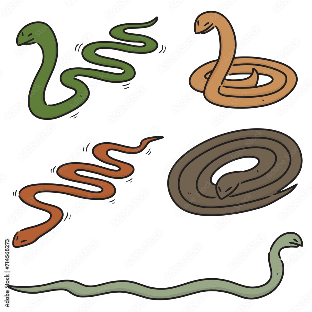 Obraz premium vector set of snakes